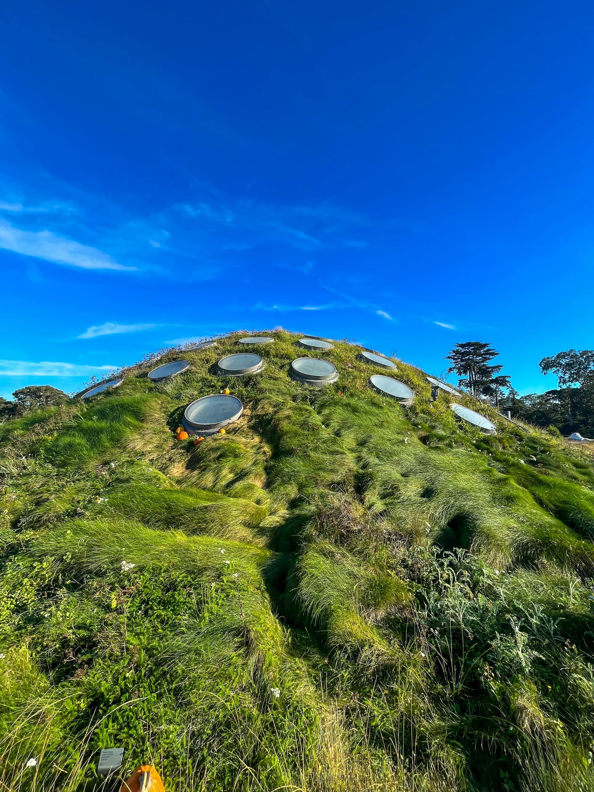 Hiker with orange backpack standing on grassy hillside overlooking an eco-friendly dome building with circular skylights against a bright blue sky.