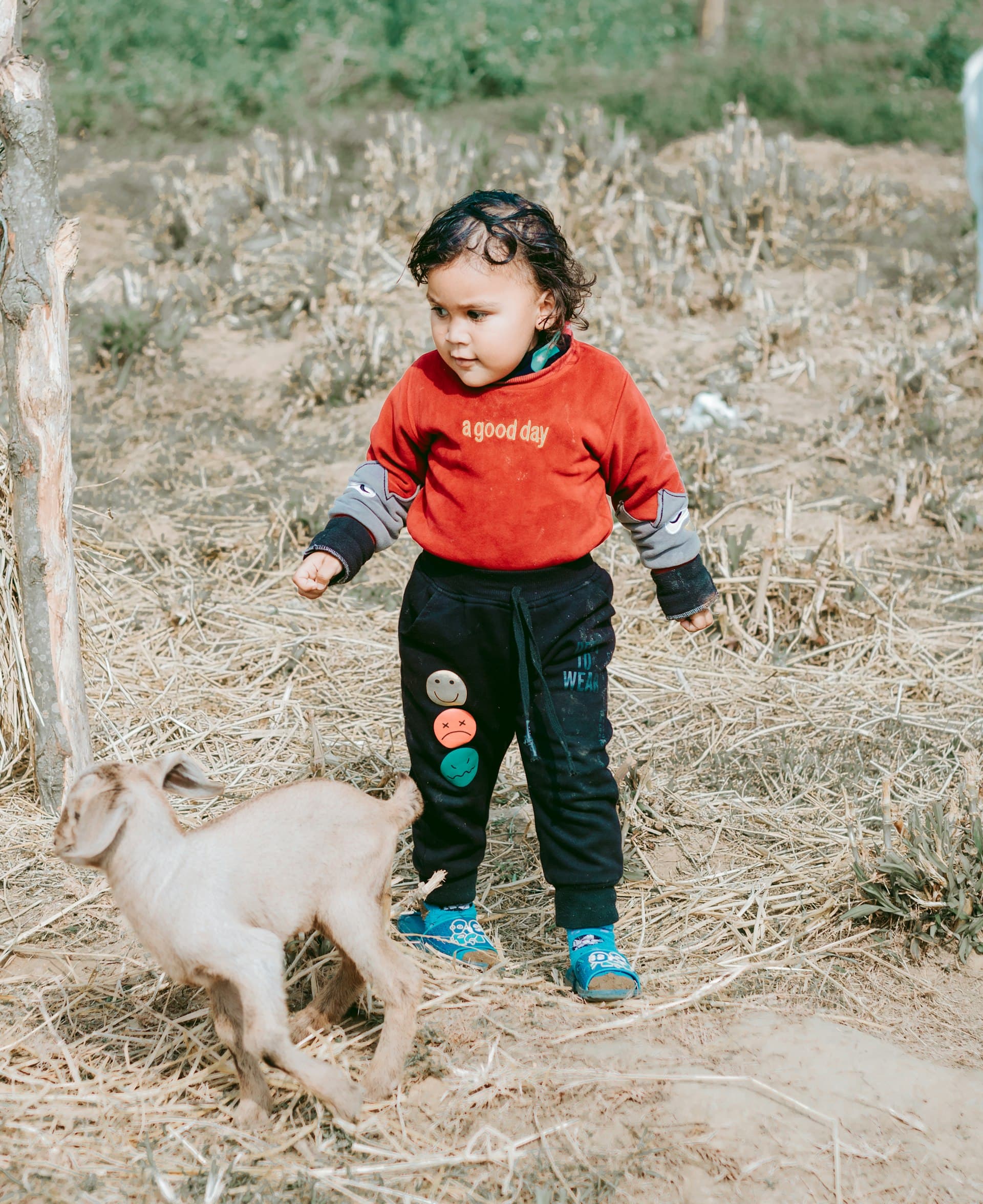 A toddler in a red sweatshirt plays outdoors with a small dog in a rural, dusty setting.