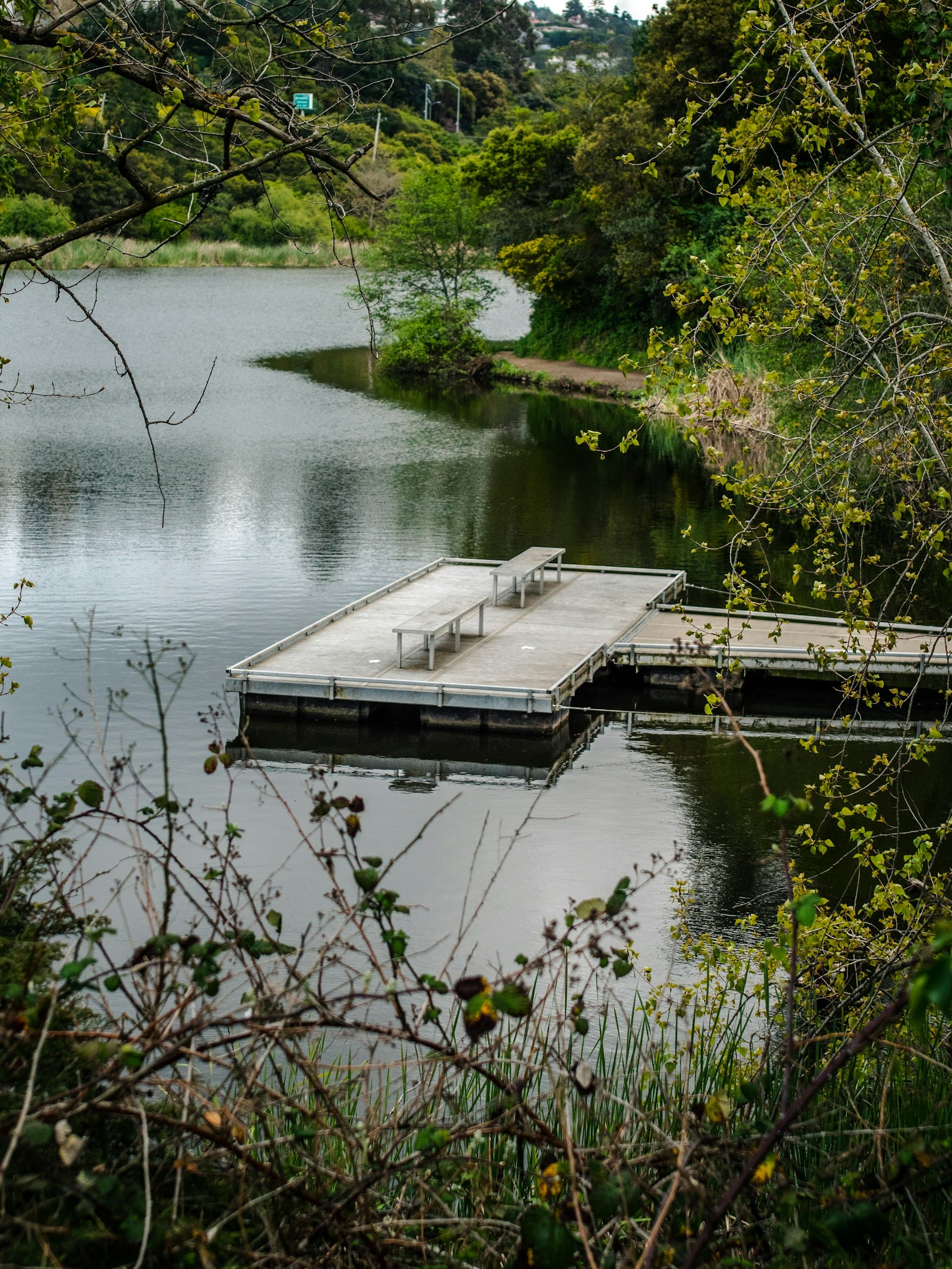 Wooden dock extending into a calm river surrounded by green trees and vegetation on an overcast day.