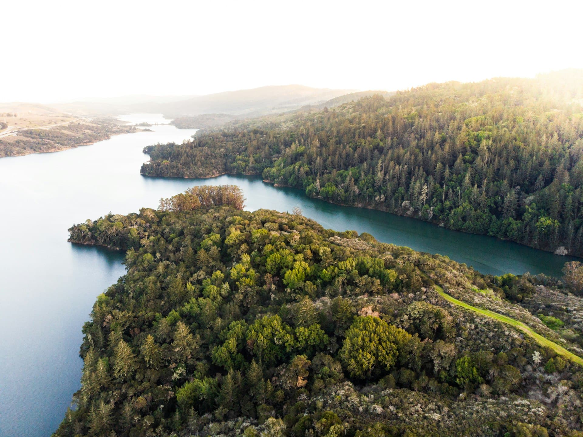 Aerial view of forested lakes and rolling hills with coniferous trees in golden-hour sunlight.