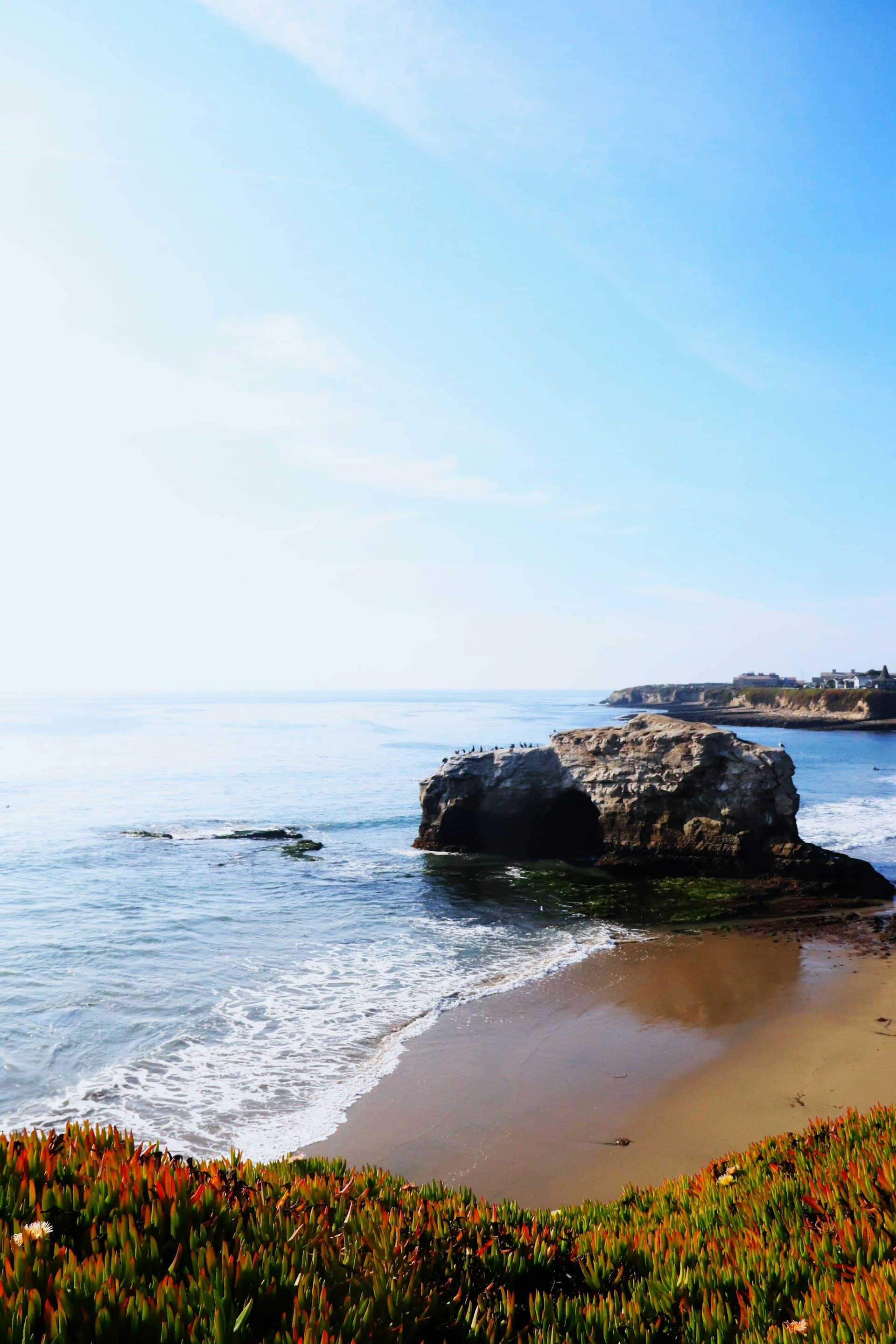 Scenic coastal beach with golden sand, rocky outcrops, wildflowers, and turquoise ocean water under a clear blue sky.