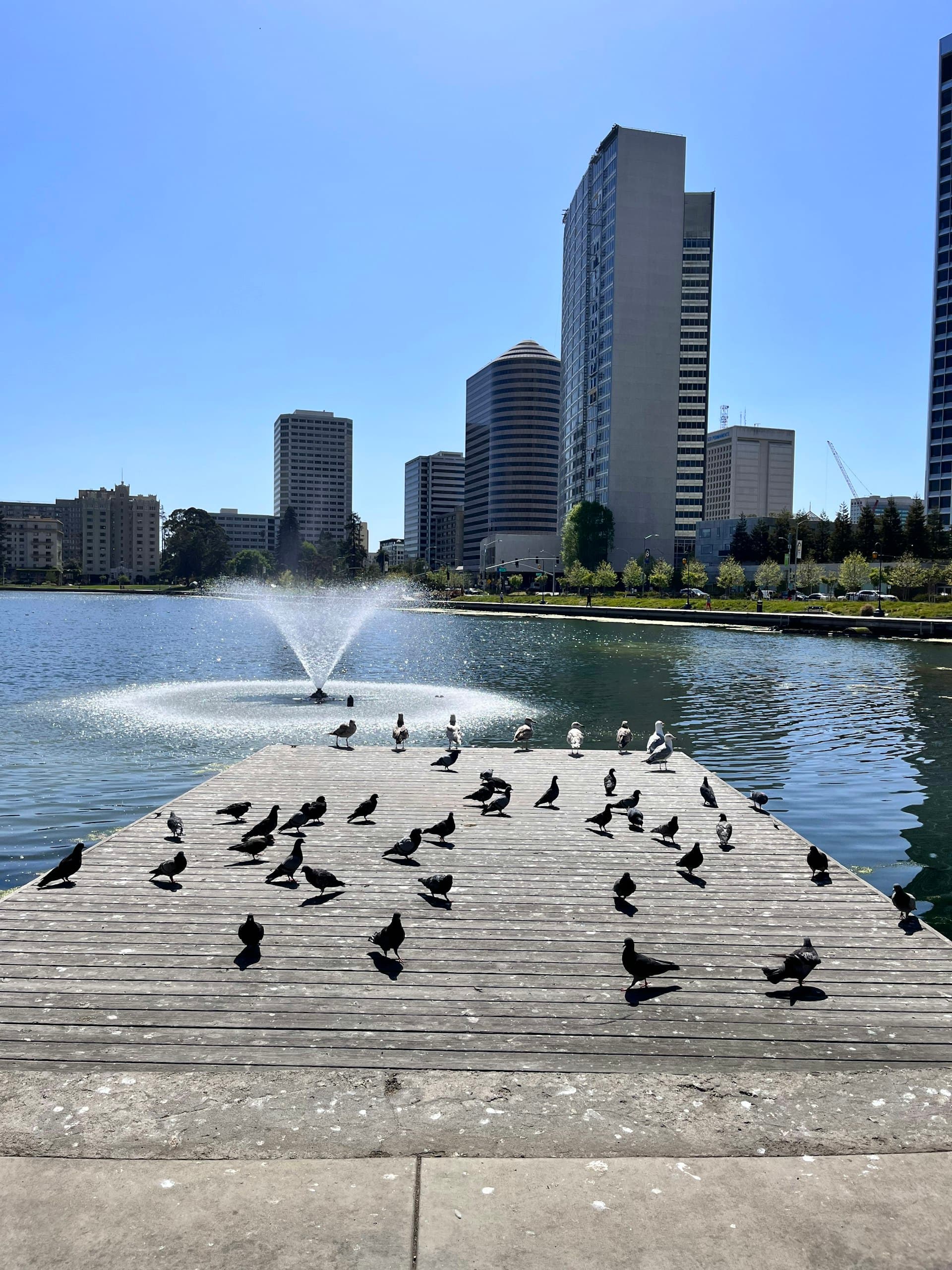 Family wading in shallow urban park waterfront with children playing while birds rest on a wooden dock under city buildings on a sunny day.