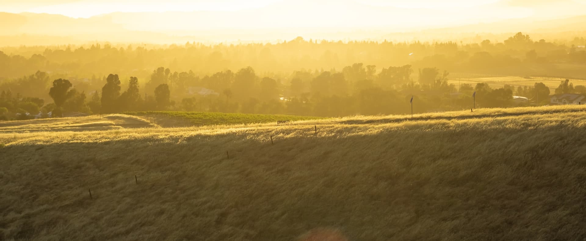 Golden hour sunrise over rolling farmland and forest with misty atmospheric light creating a peaceful rural landscape.