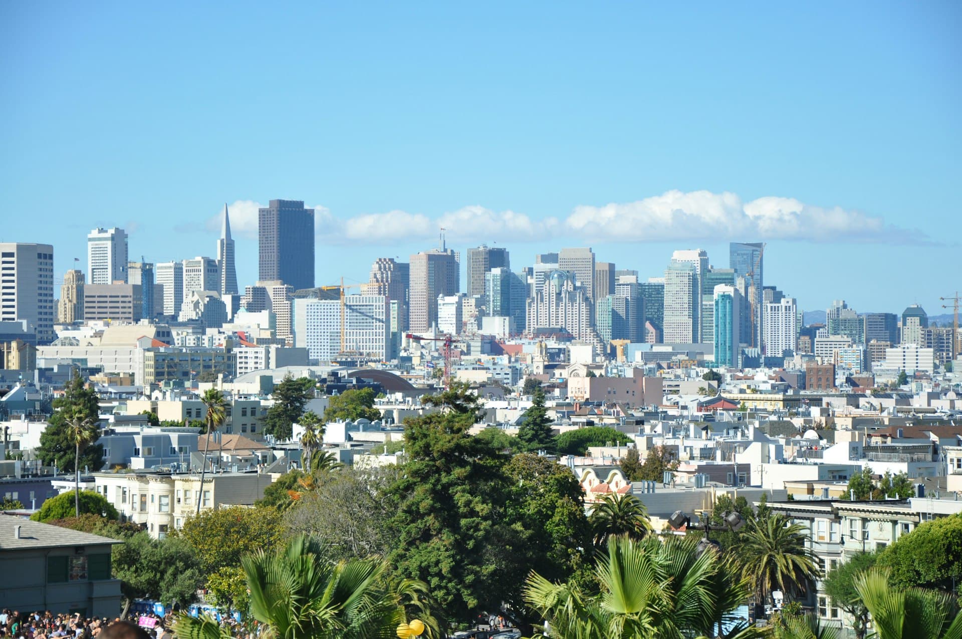 Wide view of San Francisco skyline with tall buildings, palm trees in foreground, and blue sky with clouds