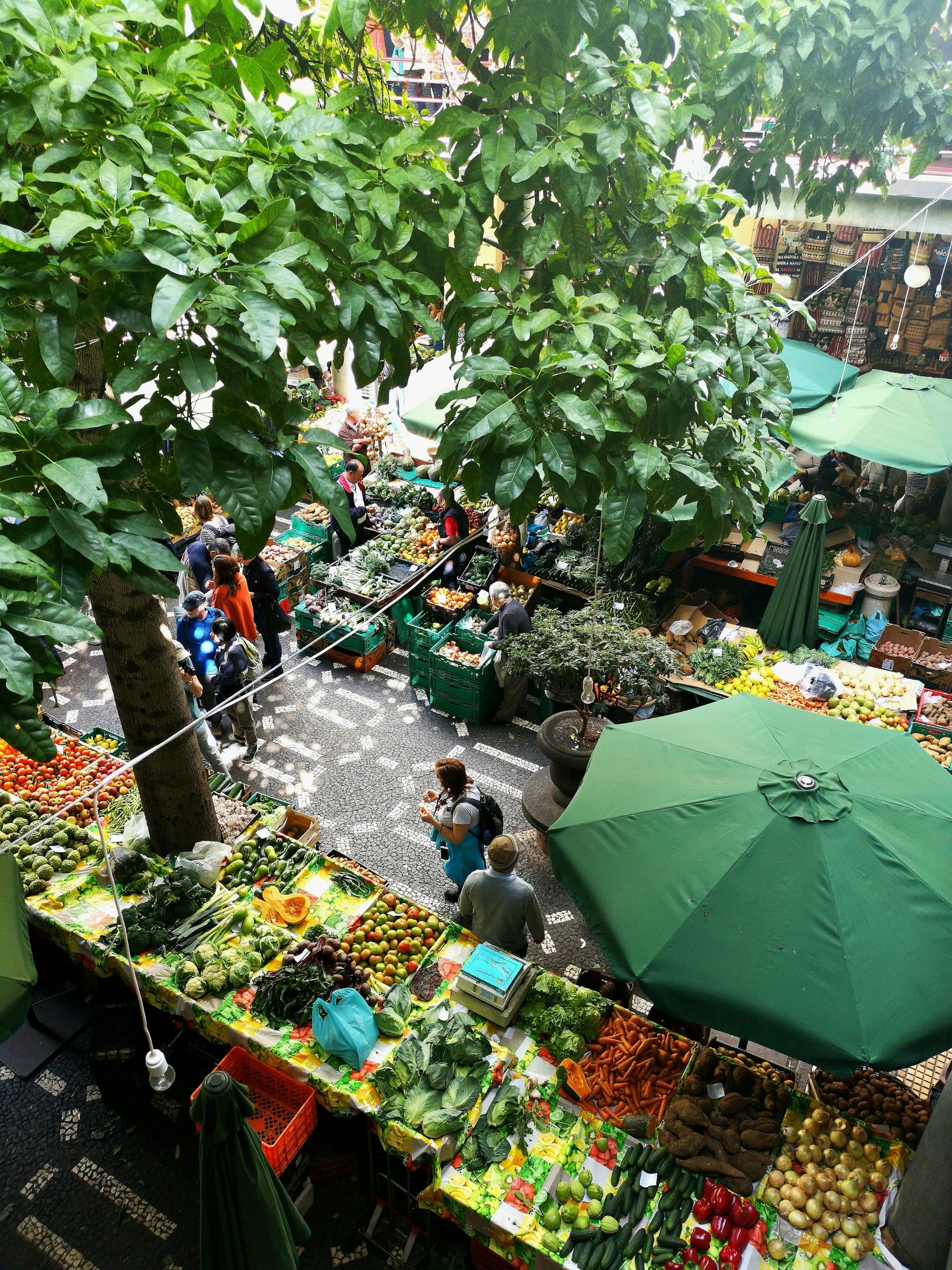 Overhead view of a bustling farmers market with fresh produce vendors under leafy trees, families shopping among colorful vegetables and fruits.