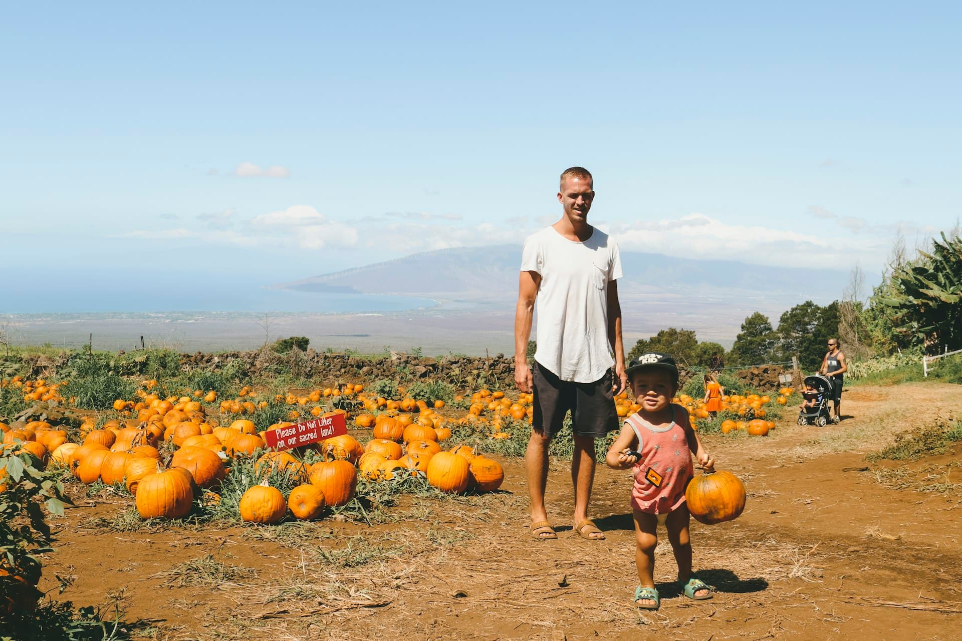 A father and toddler walk through a pumpkin patch under blue skies, with mountains visible in the distance.