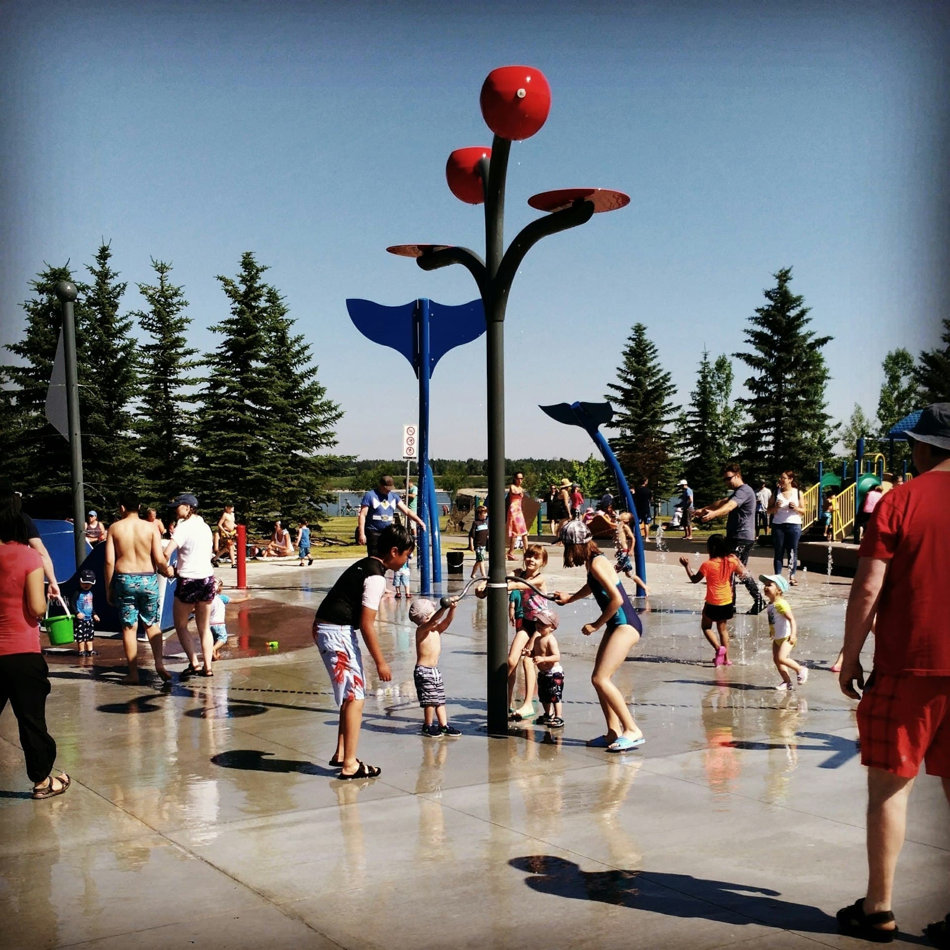 Children and families playing at a splash pad fountain on a sunny day surrounded by trees