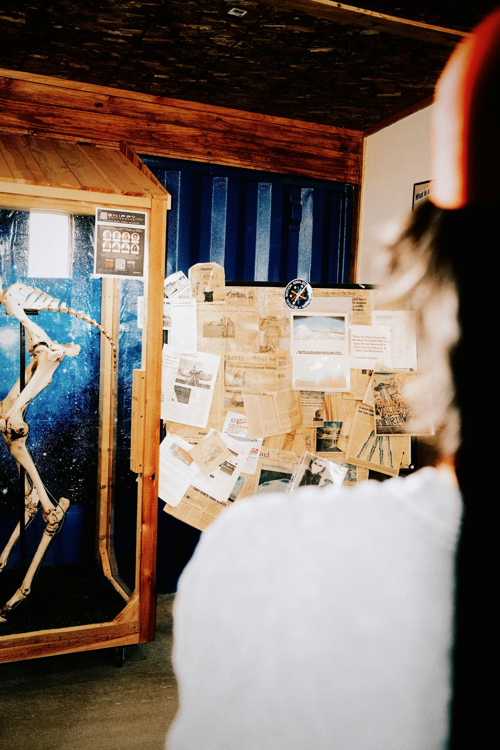 Person viewing a museum display of vintage photographs and memorabilia arranged on wooden panels