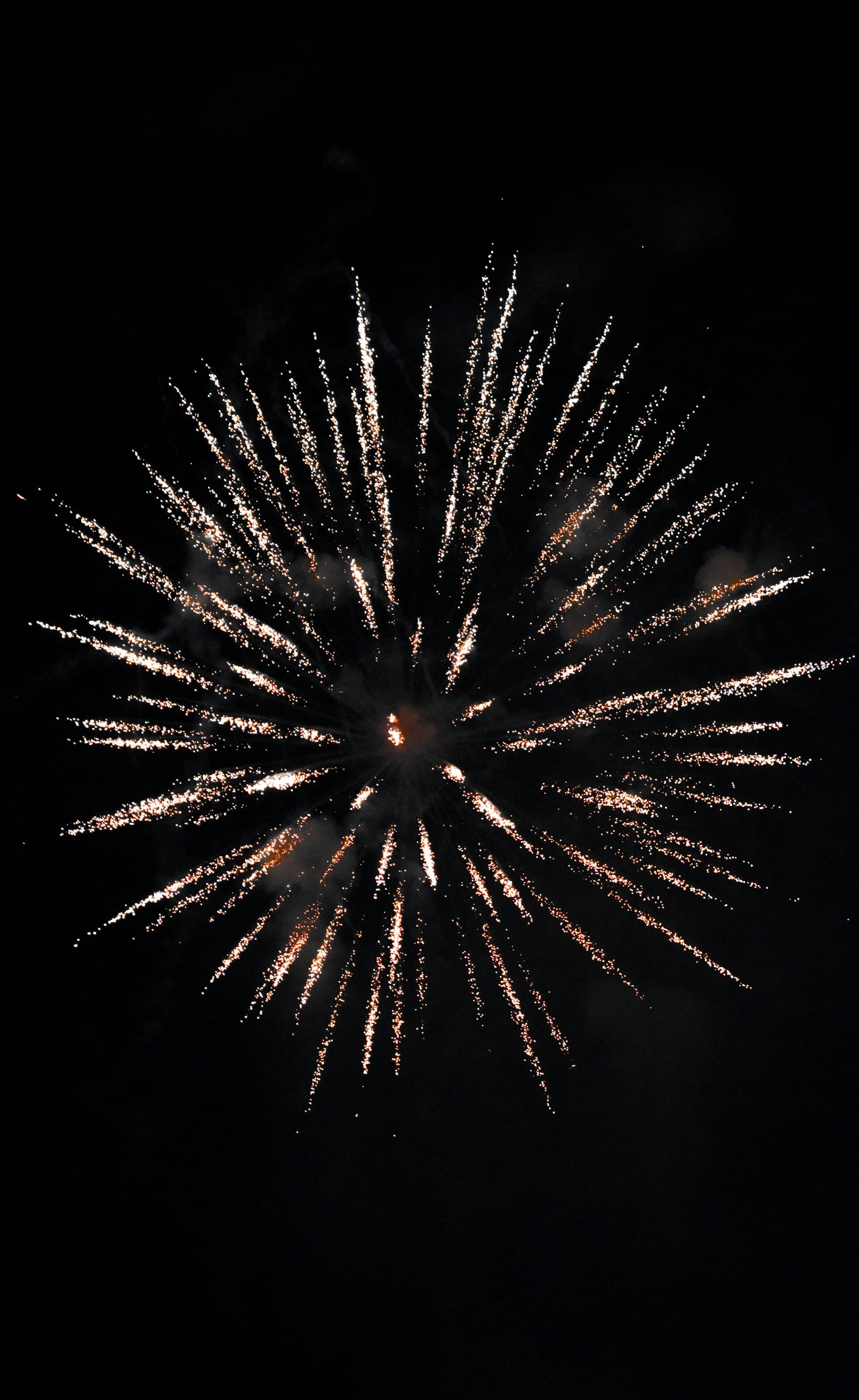 Golden and white fireworks bursting in a radial pattern against a black night sky.