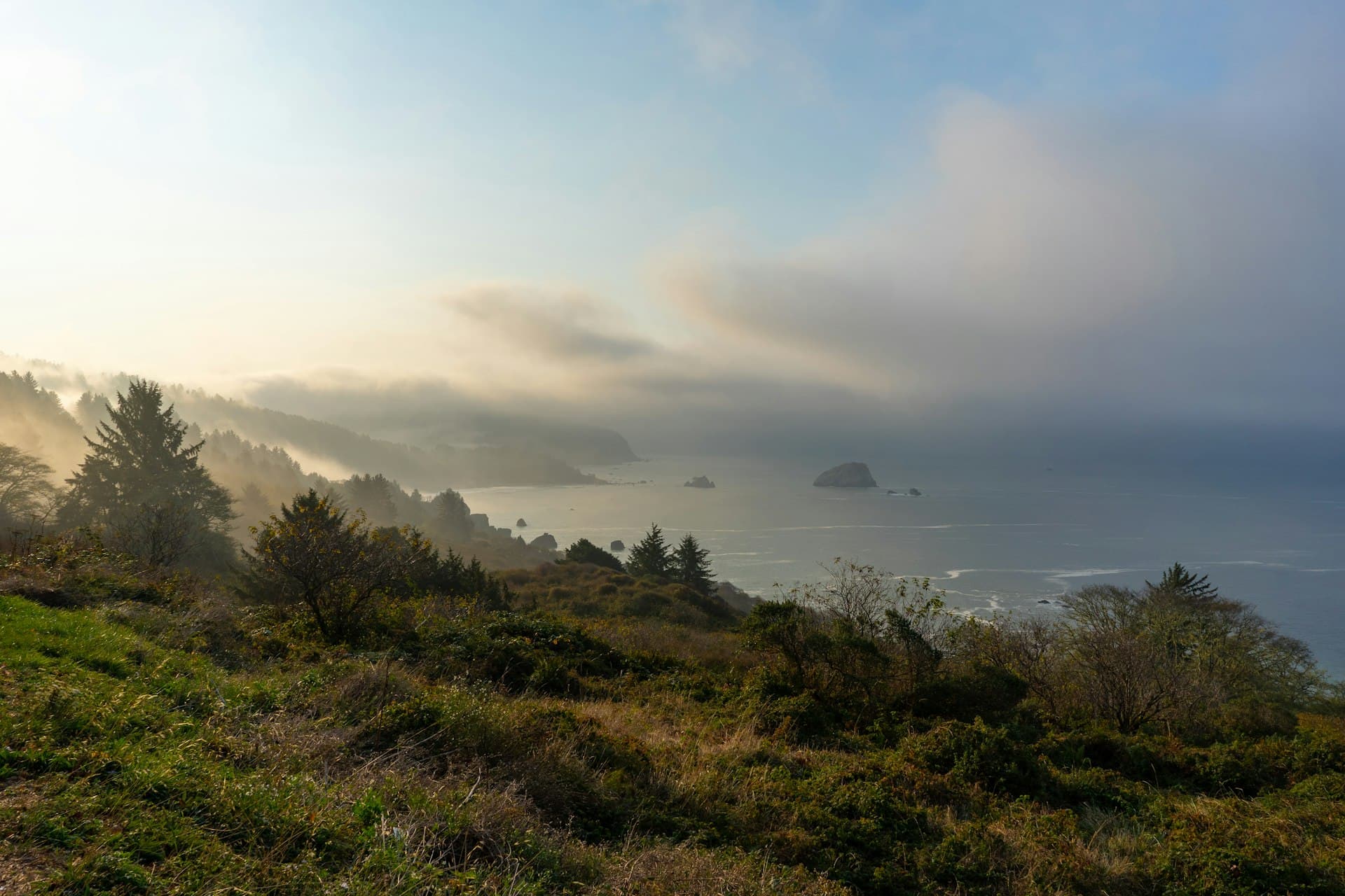 Misty coastal landscape with ocean, forested hills, and sea stacks visible through morning fog
