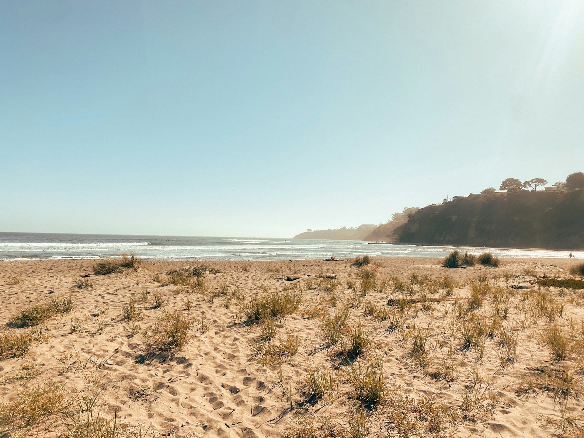 A tranquil beach with golden sand and scattered beach grass, with calm ocean and tree-covered cliffs in the distance under a clear blue sky.