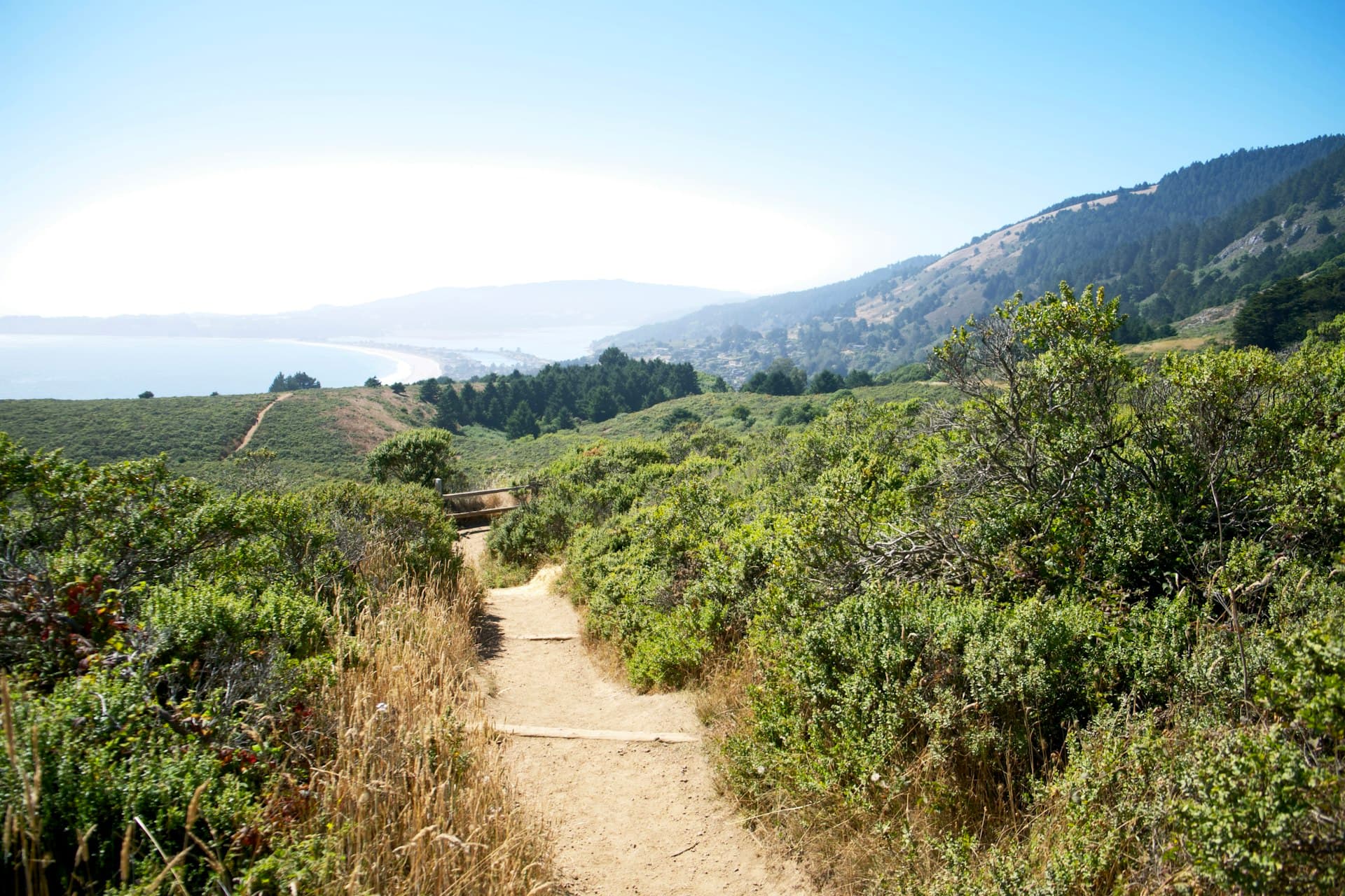 Scenic hiking trail through green hillsides with wildflowers overlooking a mountain lake valley on a sunny day.