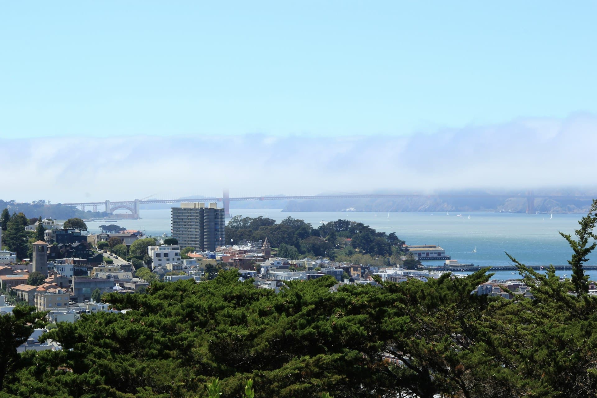 Panoramic view of a coastal city bay with suspension bridge, green hillsides, and sailboats under clear blue sky