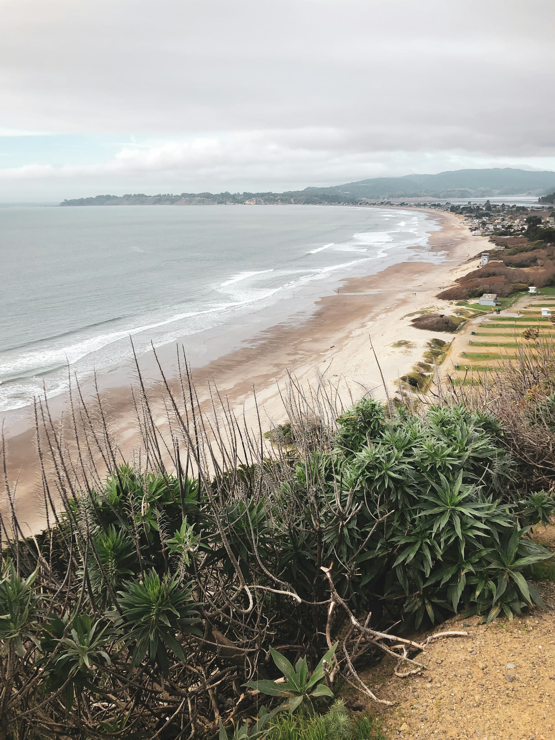 Aerial view of a coastal beach with breaking waves, sandy shore, and clifftop vegetation overlooking a seaside town.