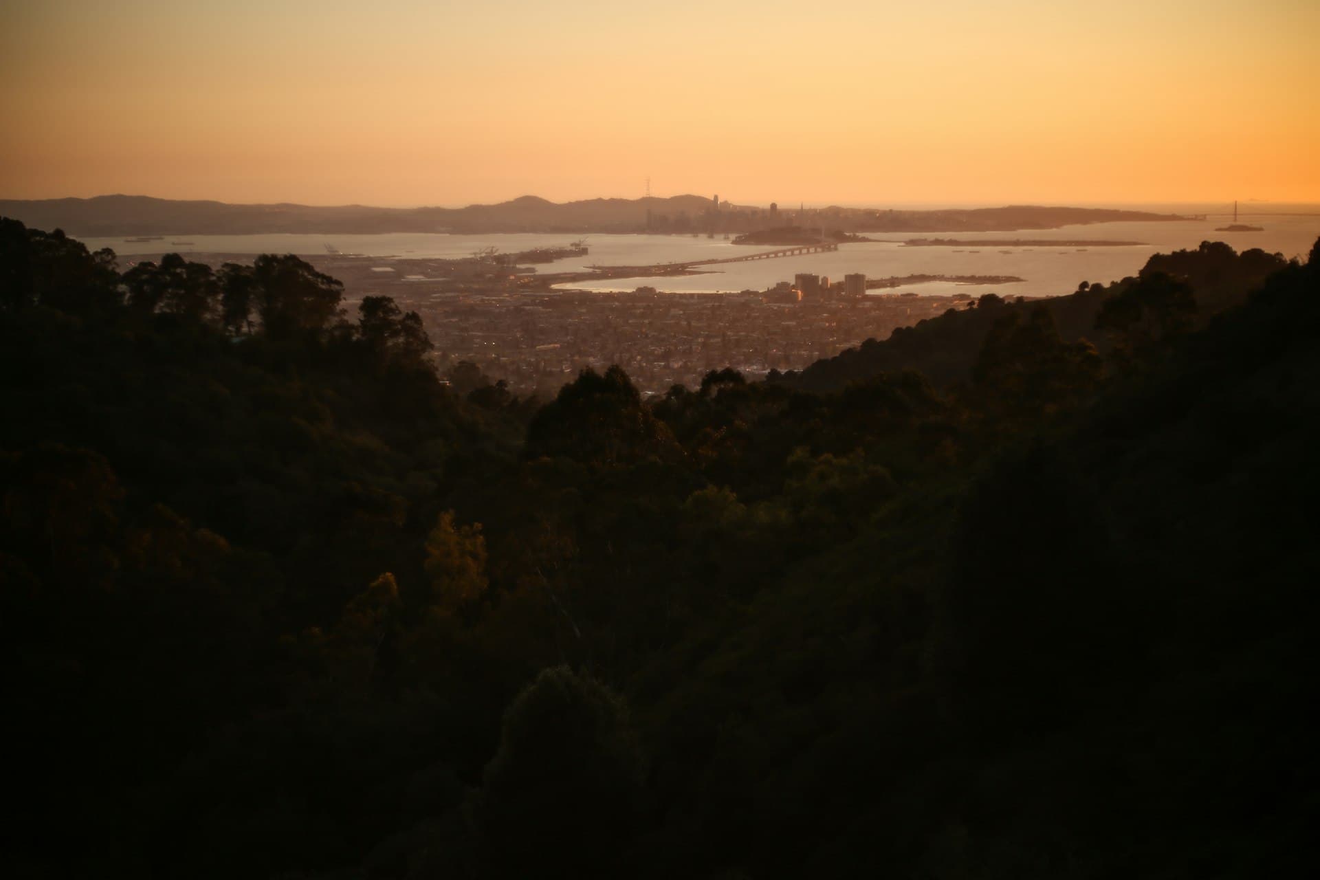 Golden sunset view from a forested hilltop overlooking a bay city with bridges and waterways in the distance.